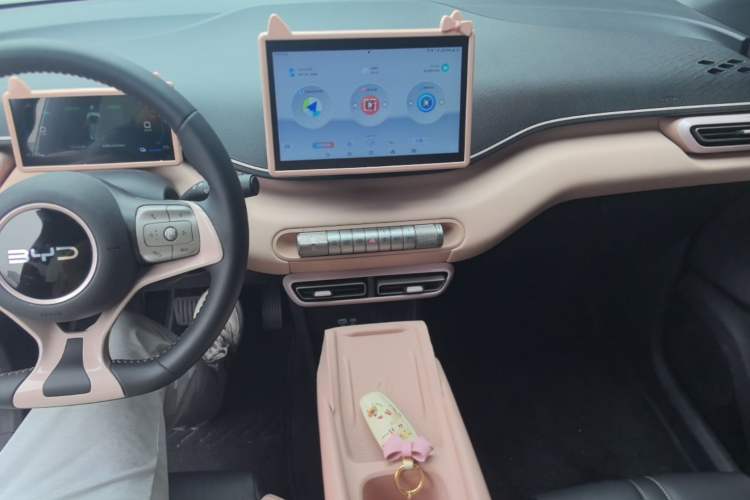 Used BYD Seagull 2024 Honor Edition 405km Flying Version Center Console