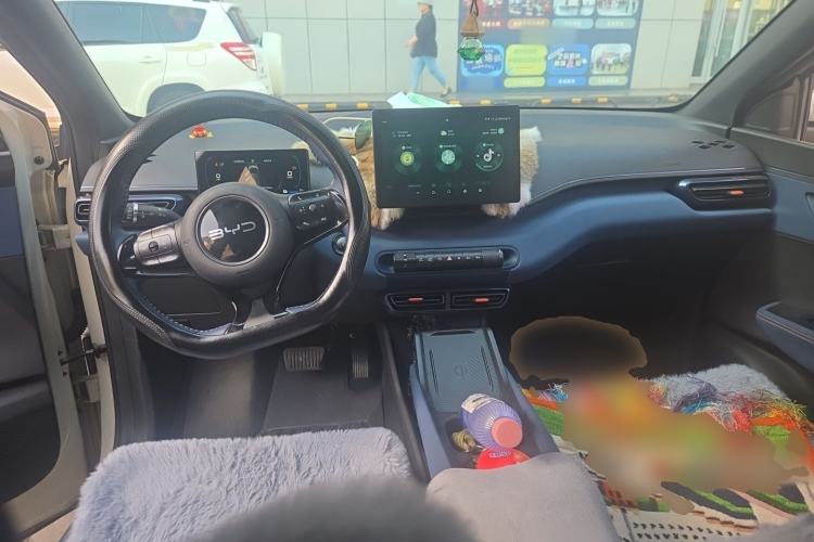 Used BYD Seagull 2024 Honor Edition 305km Freedom Version Center Console