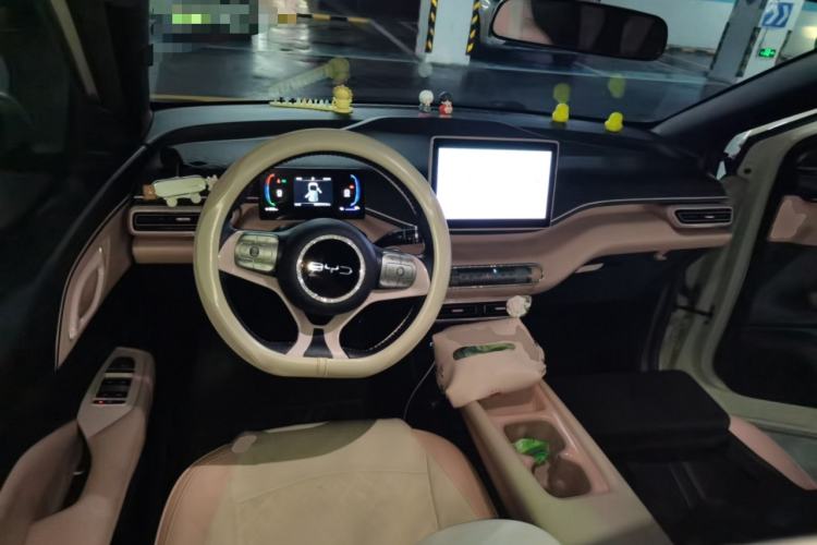 Used BYD Seagull 2024 Honor Edition 305km Freedom Version Center Console