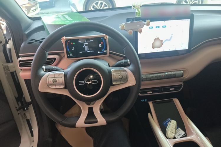 Used BYD Seagull 2024 Honor Edition 305km Dynamic Version Center Console