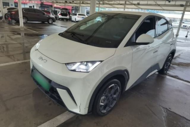 Used BYD Seagull 2024 Honor Edition 305km Freedom Version