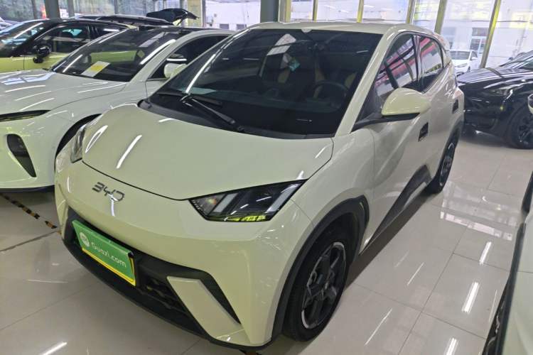 BYD Seagull 2024 Honor Edition 305km Freedom Version