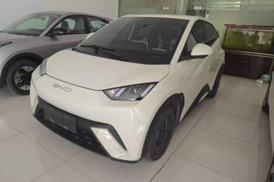 Used BYD Seagull 2024 Honor Edition 305km Dynamic Version