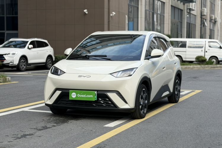 BYD Seagull 2024 Honor Edition 405km Flying Version