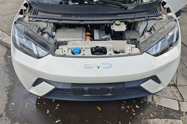 Used BYD Seagull 2024 Honor Edition 305km Dynamic Version Engine Bay