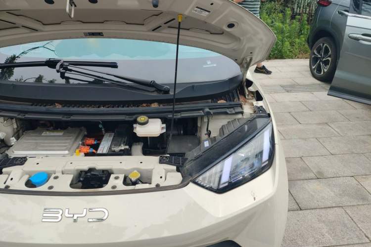 Used BYD Seagull 2024 Honor Edition 305km Dynamic Version Engine Bay Left