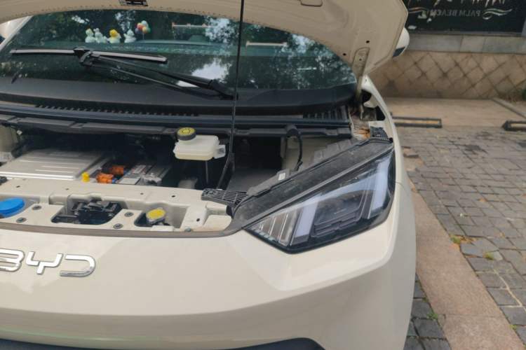 Used BYD Seagull 2024 Honor Edition 405km Flying Version Engine Bay Left