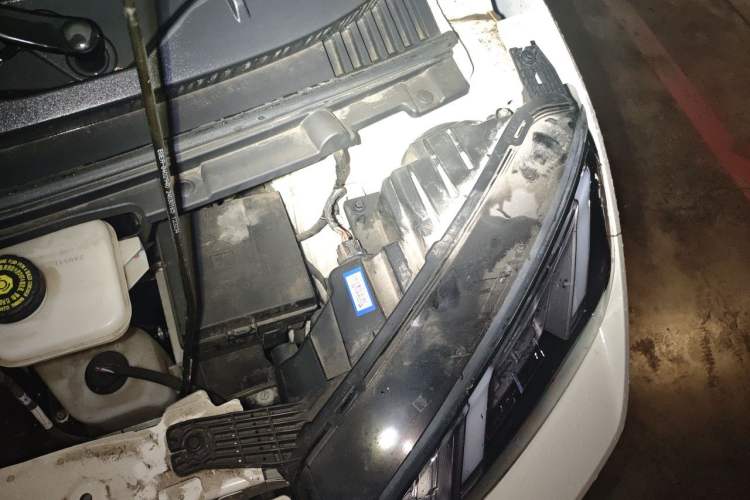 Used BYD Seagull 2024 Honor Edition 305km Dynamic Version Engine Bay Left