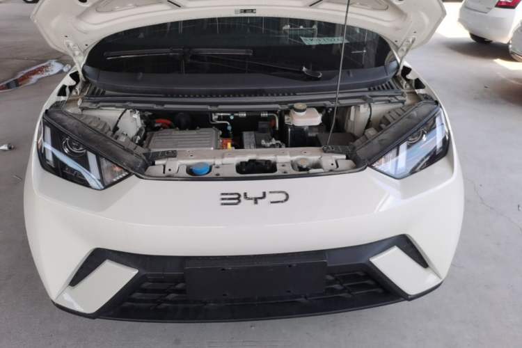 Used BYD Seagull 2024 Honor Edition 305km Dynamic Version Engine Bay