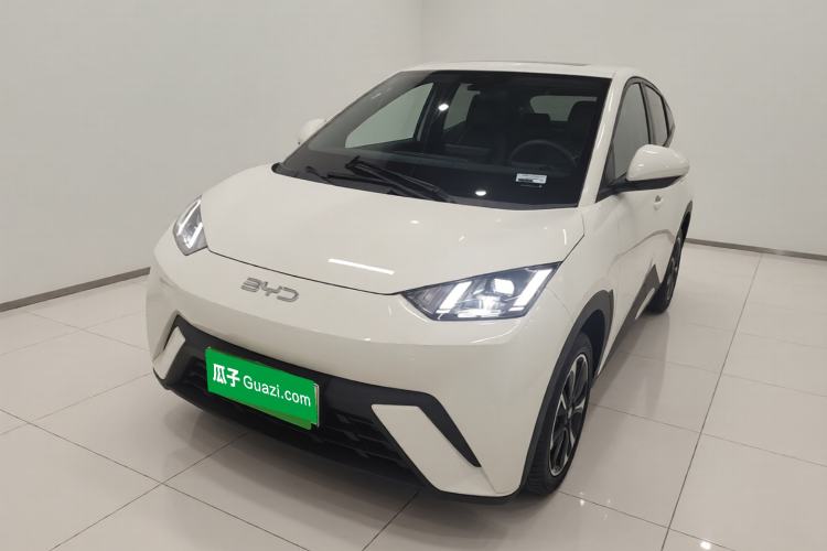 BYD Seagull 2024 Honor Edition 305km Freedom Version