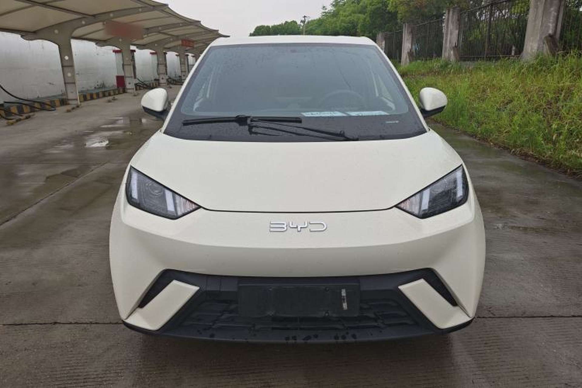 Used BYD Seagull 2024 Honor Edition 305km Dynamic Version Exterior 1