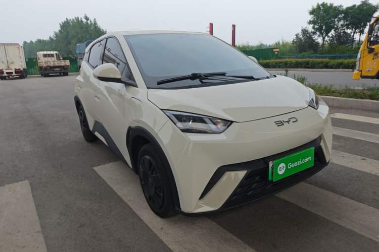 Used BYD Seagull 2024 Honor Edition 305km Dynamic Version Exterior 1