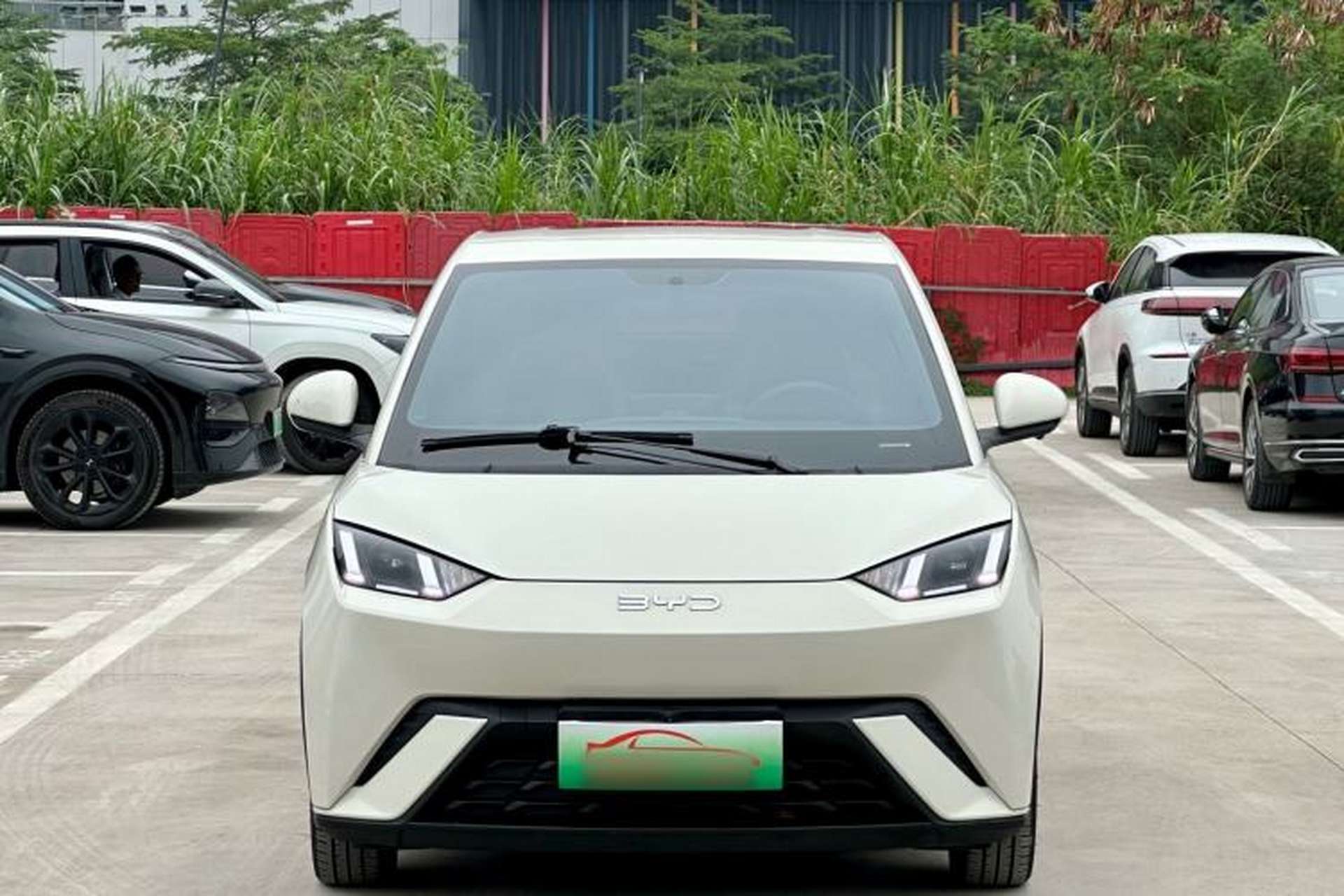 Used BYD Seagull 2024 Honor Edition 305km Freedom Version Exterior 1