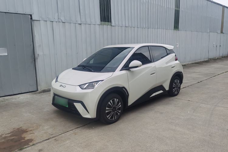 Used BYD Seagull 2024 Honor Edition 305km Dynamic Version Exterior 1