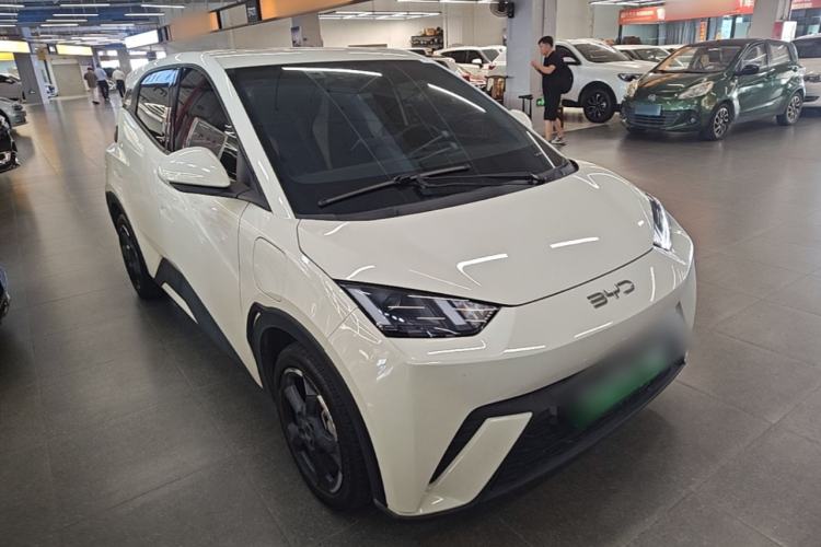 Used BYD Seagull 2024 Honor Edition 305km Freedom Version Exterior 1