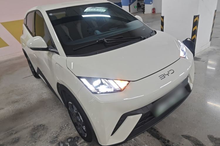 Used BYD Seagull 2024 Honor Edition 305km Freedom Version Exterior 1