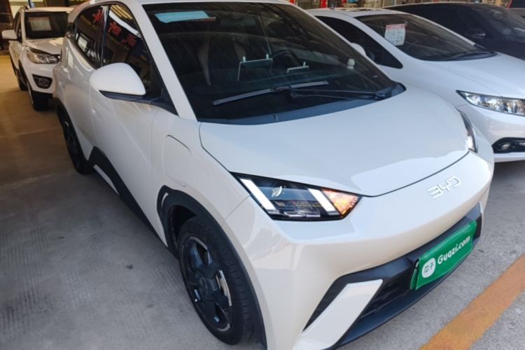 Used BYD Seagull 2024 Honor Edition 305km Freedom Version Exterior 1