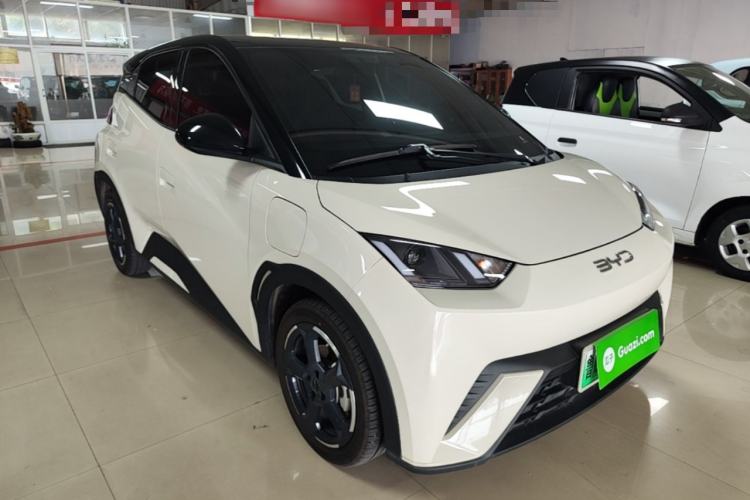 Used BYD Seagull 2024 Honor Edition 305km Freedom Version Exterior 1