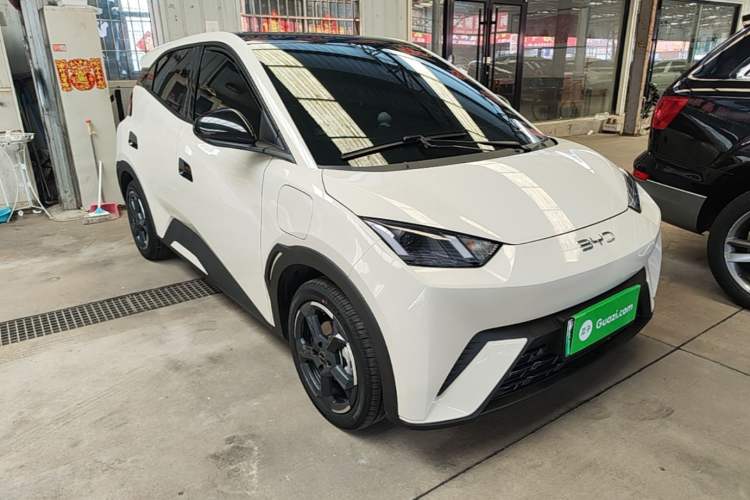 Used BYD Seagull 2024 Honor Edition 305km Freedom Version Exterior 1