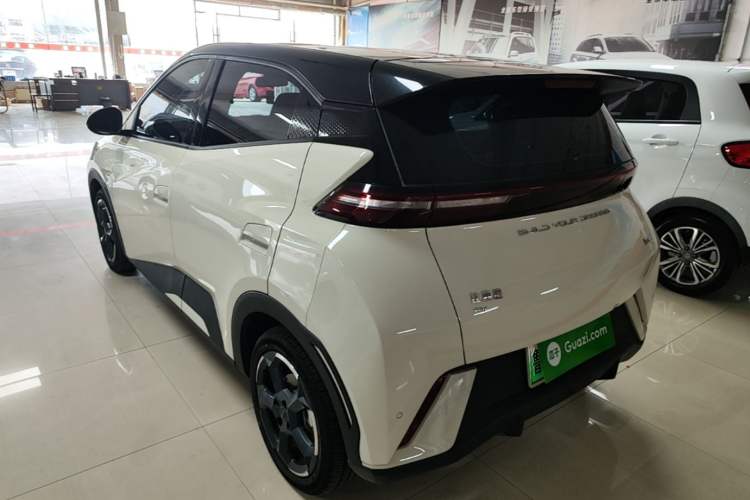 Used BYD Seagull 2024 Honor Edition 305km Freedom Version Exterior 2
