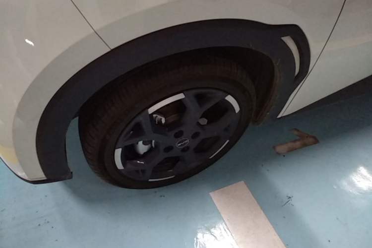 Used BYD Seagull 2024 Honor Edition 305km Dynamic Version Exterior 4