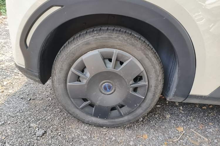 Used BYD Seagull 2024 Honor Edition 305km Dynamic Version Exterior 5