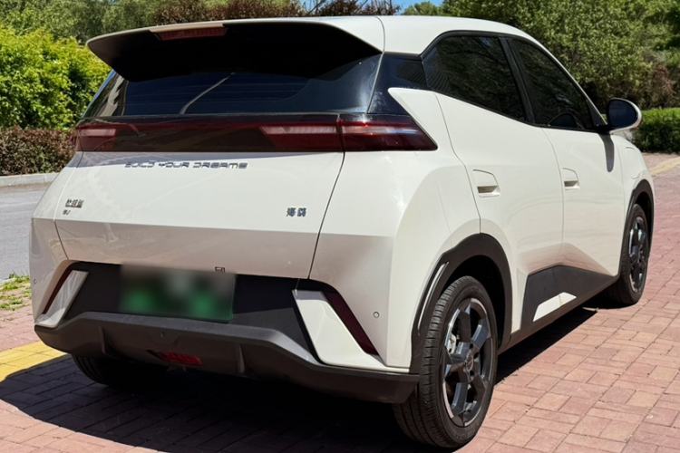 Used BYD Seagull 2024 Honor Edition 305km Freedom Version Exterior 8