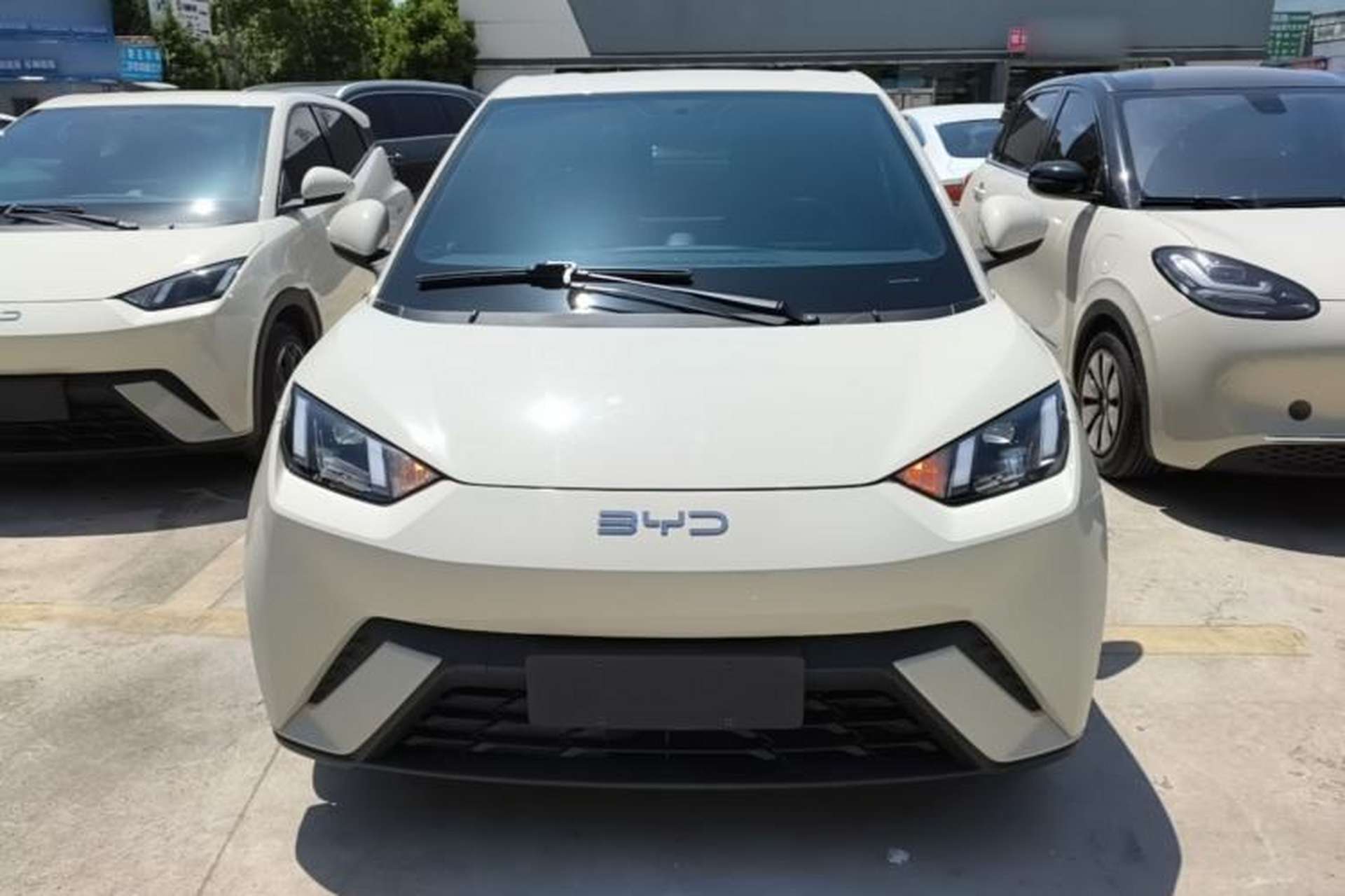 Used BYD Seagull 2024 Honor Edition 405km Flying Version Front
