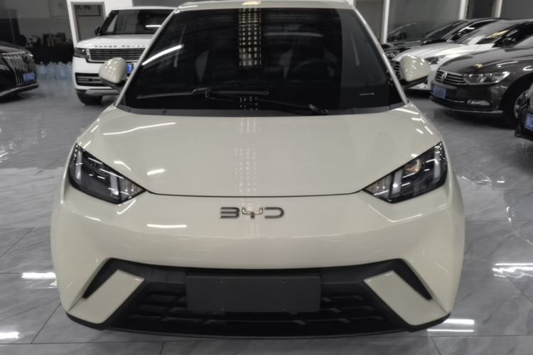 Used BYD Seagull 2024 Honor Edition 305km Dynamic Version Front