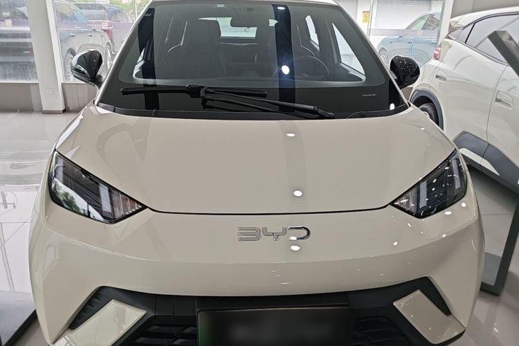 Used BYD Seagull 2024 Honor Edition 305km Freedom Version Front