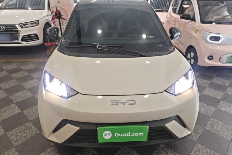 Used BYD Seagull 2024 Honor Edition 305km Dynamic Version Front