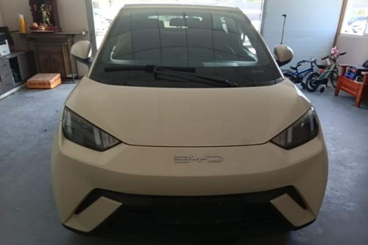 Used BYD Seagull 2024 Honor Edition 305km Dynamic Version Front