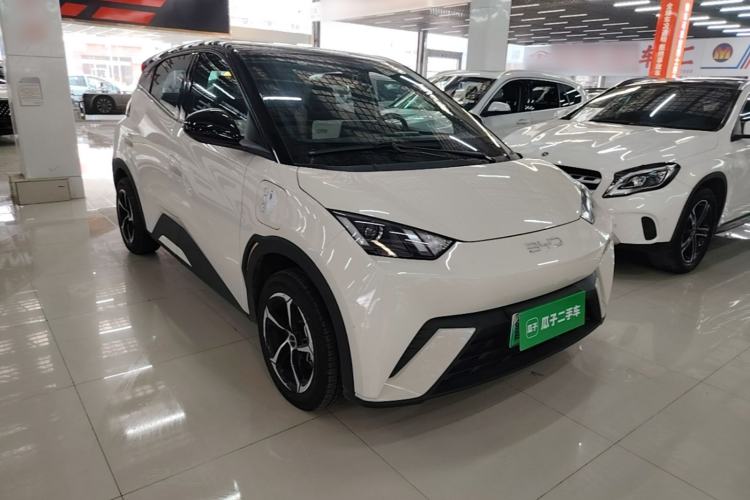 Used BYD Seagull 2024 Honor Edition 305km Dynamic Version Front Right 45 Deg