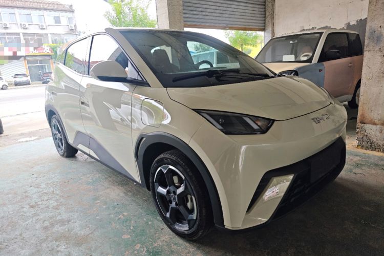 Used BYD Seagull 2024 Honor Edition 305km Freedom Version Front Right 45 Deg