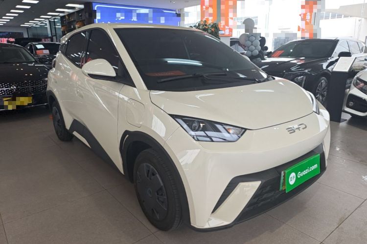 Used BYD Seagull 2024 Honor Edition 305km Dynamic Version Front Right 45 Deg