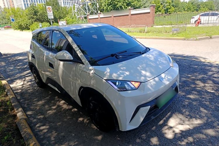 Used BYD Seagull 2024 Honor Edition 305km Dynamic Version Front Right 45 Deg