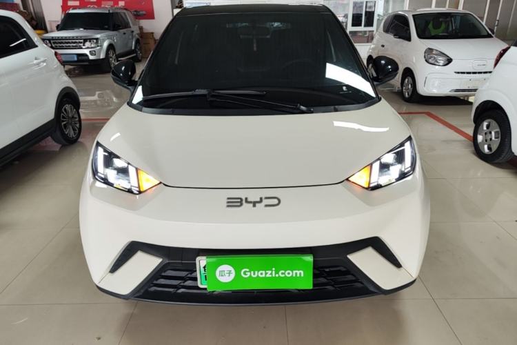 Used BYD Seagull 2024 Honor Edition 305km Freedom Version Front