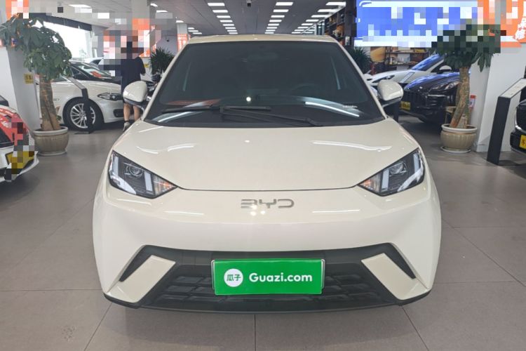 Used BYD Seagull 2024 Honor Edition 305km Dynamic Version Front