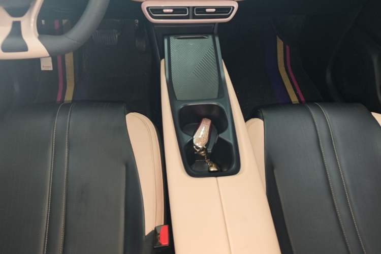 Used BYD Seagull 2024 Honor Edition 305km Dynamic Version Gear Lever