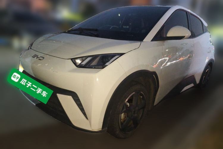 BYD Seagull 2024 Honor Edition 305km Freedom Version
