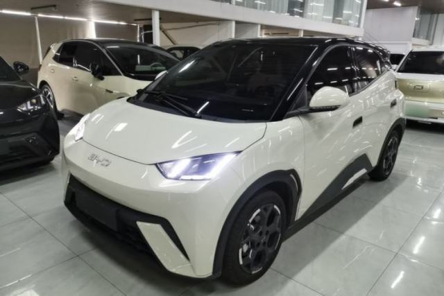Used BYD Seagull 2024 Honor Edition 305km Freedom Version