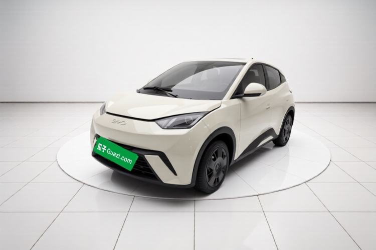 BYD Seagull 2024 Honor Edition 305km Dynamic Version