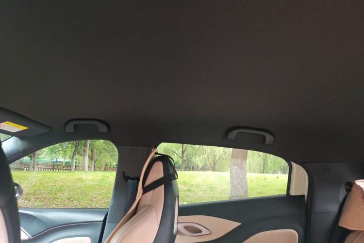 Used BYD Seagull 2024 Honor Edition 305km Freedom Version Headliner