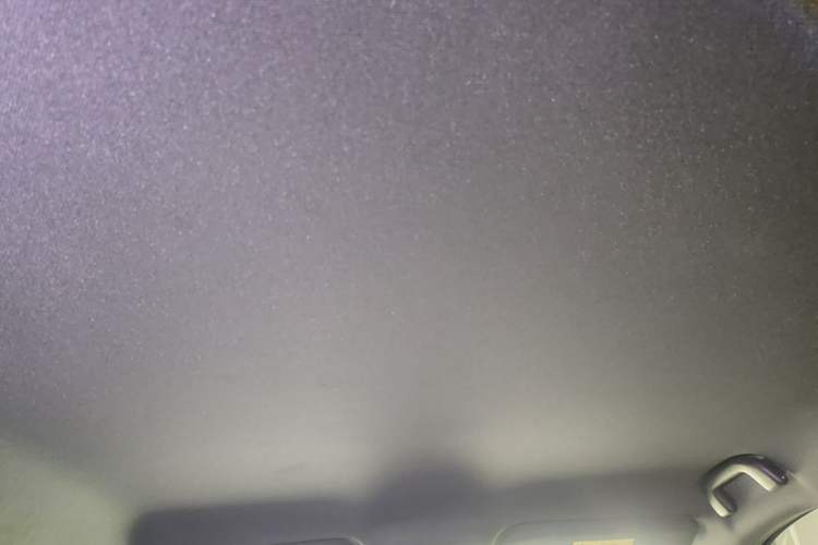 Used BYD Seagull 2024 Honor Edition 405km Flying Version Headliner