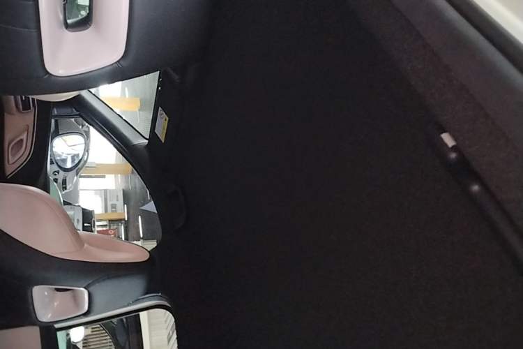 Used BYD Seagull 2024 Honor Edition 305km Dynamic Version Headliner