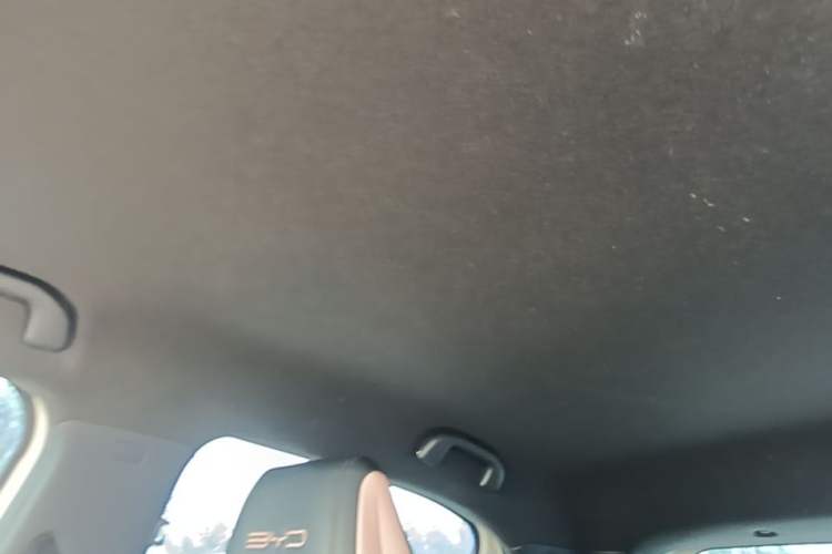 Used BYD Seagull 2024 Honor Edition 305km Dynamic Version Headliner