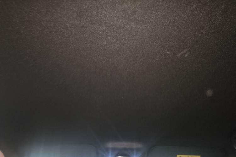 Used BYD Seagull 2024 Honor Edition 305km Dynamic Version Headliner