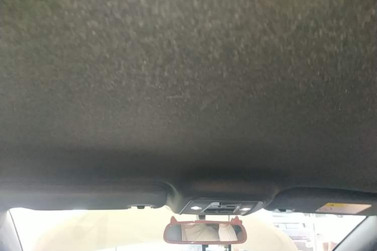 Used BYD Seagull 2024 Honor Edition 305km Dynamic Version Headliner