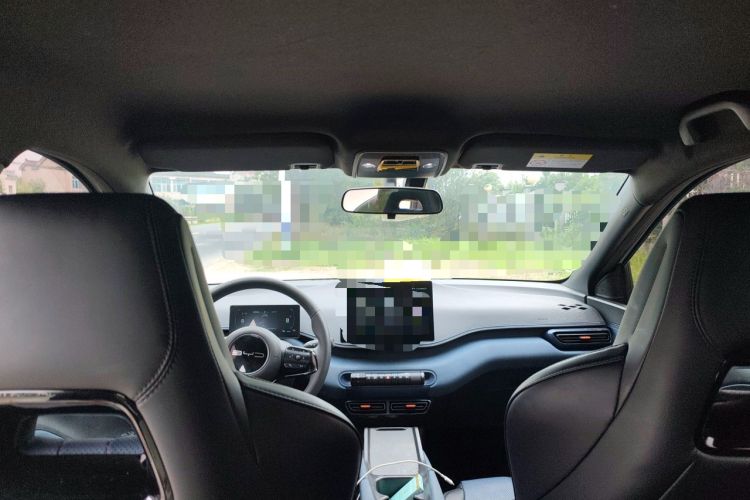 Used BYD Seagull 2024 Honor Edition 305km Dynamic Version Headliner