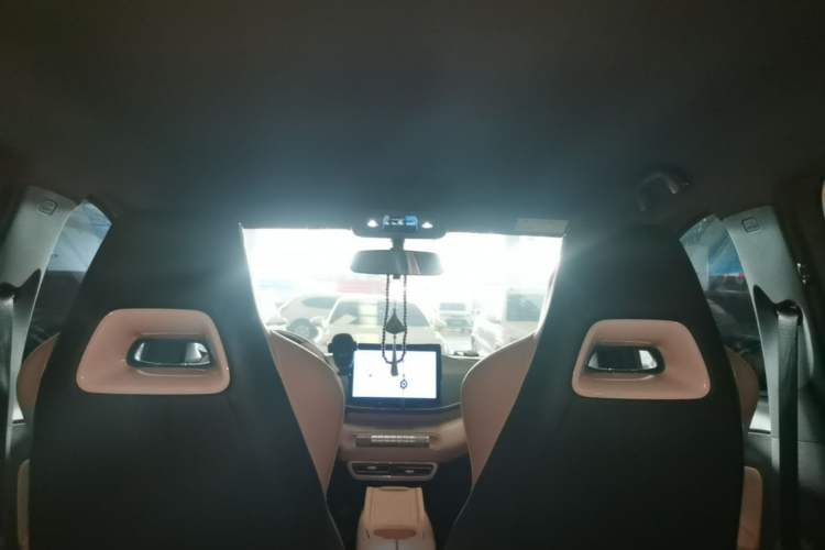 Used BYD Seagull 2024 Honor Edition 305km Dynamic Version Headliner